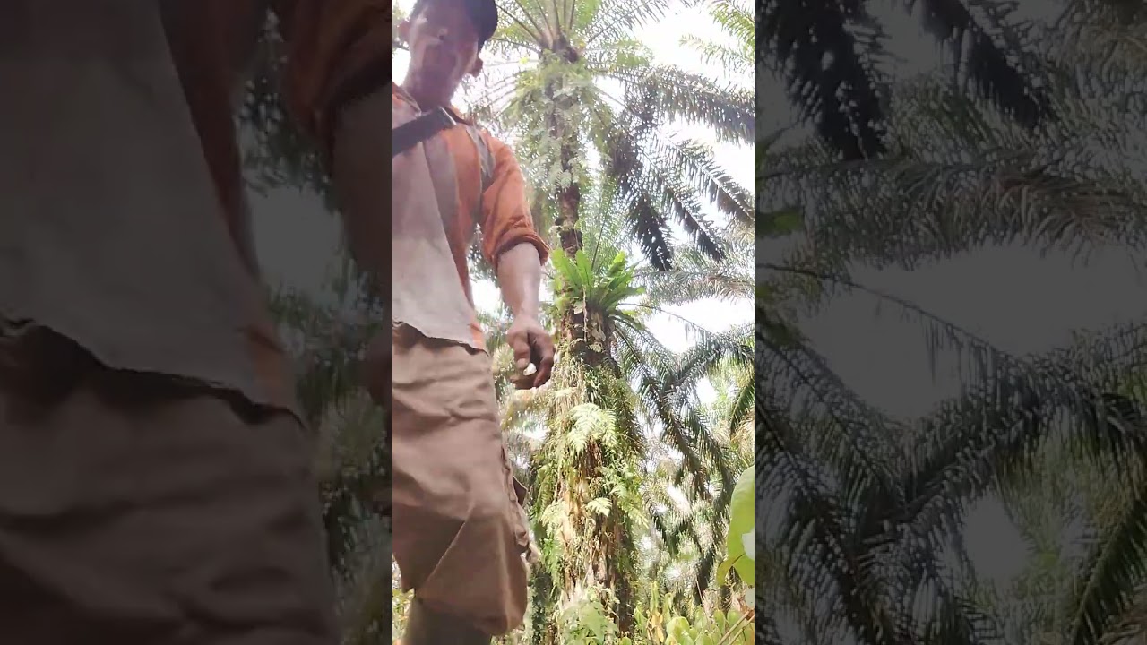 Bikin emosi tingkat dewa