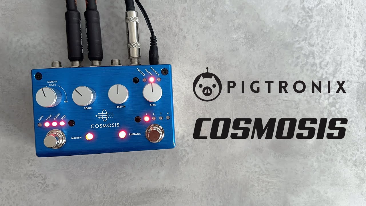 Pigtronix Cosmosis Reverb