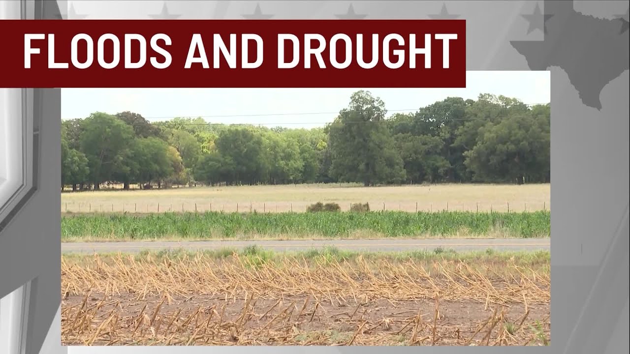 State of Texas:  Drought effects remain despite flooding rain