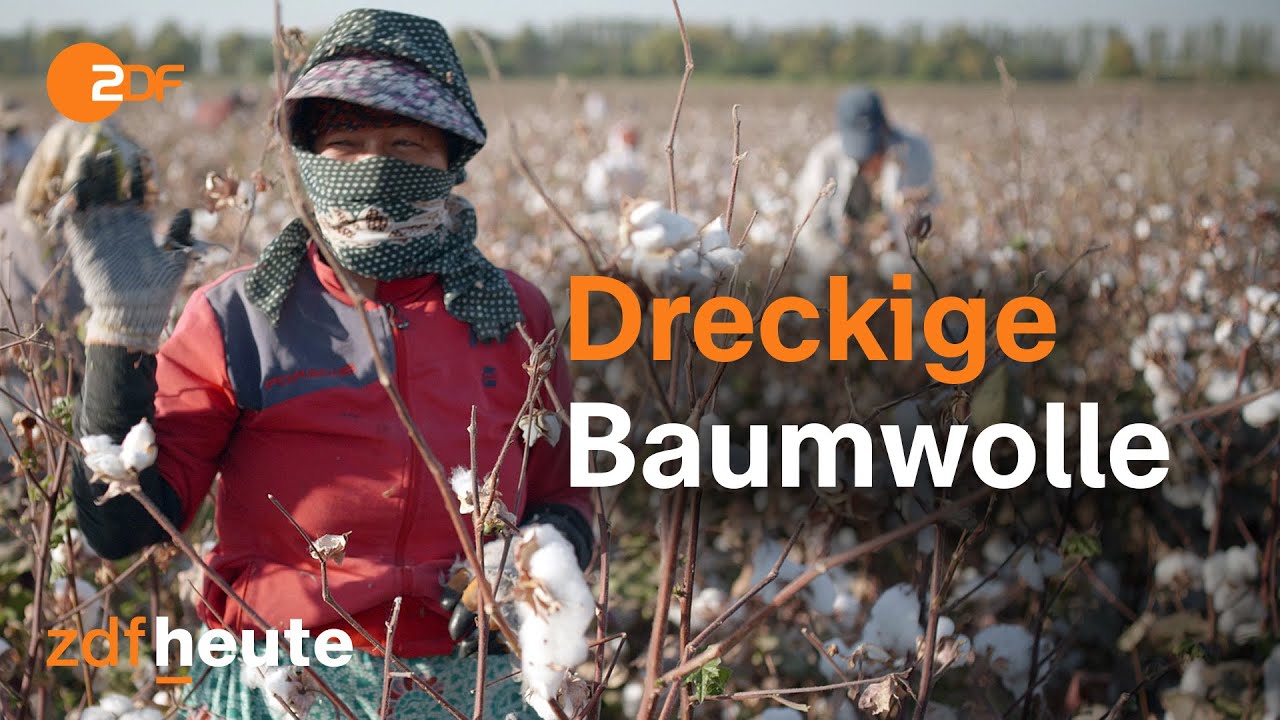 Ausbeutung und Umweltzerstörung bei der Baumwollproduktion in Usbekistan | ZDFzoom
