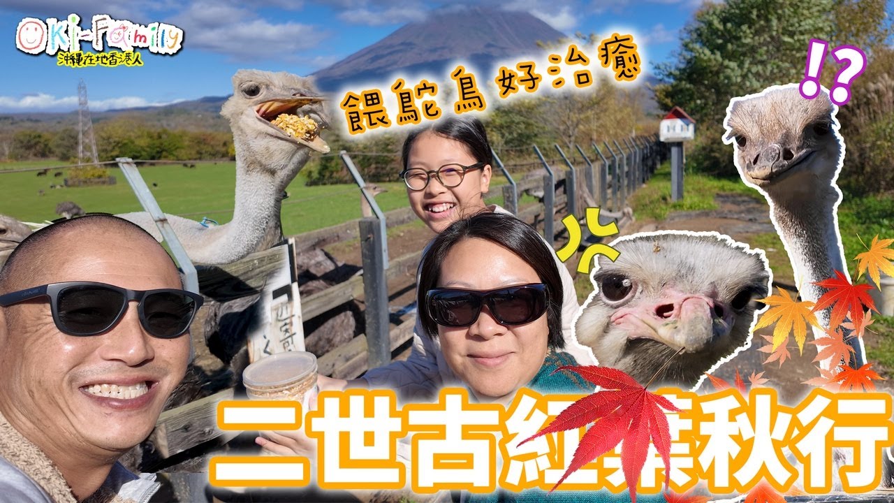 【二世古紅葉秋行 】原來好多嘢玩！餵鴕鳥好治癒 ｜平住米芝蓮酒店 ｜蔗渣價錢皇帝享受 ｜有詳細資料（中文字幕）