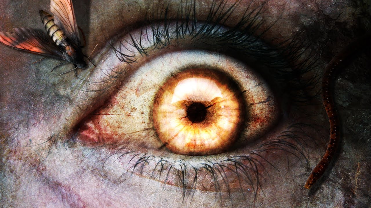 Halloween LiveSCREAM Highlights 2012