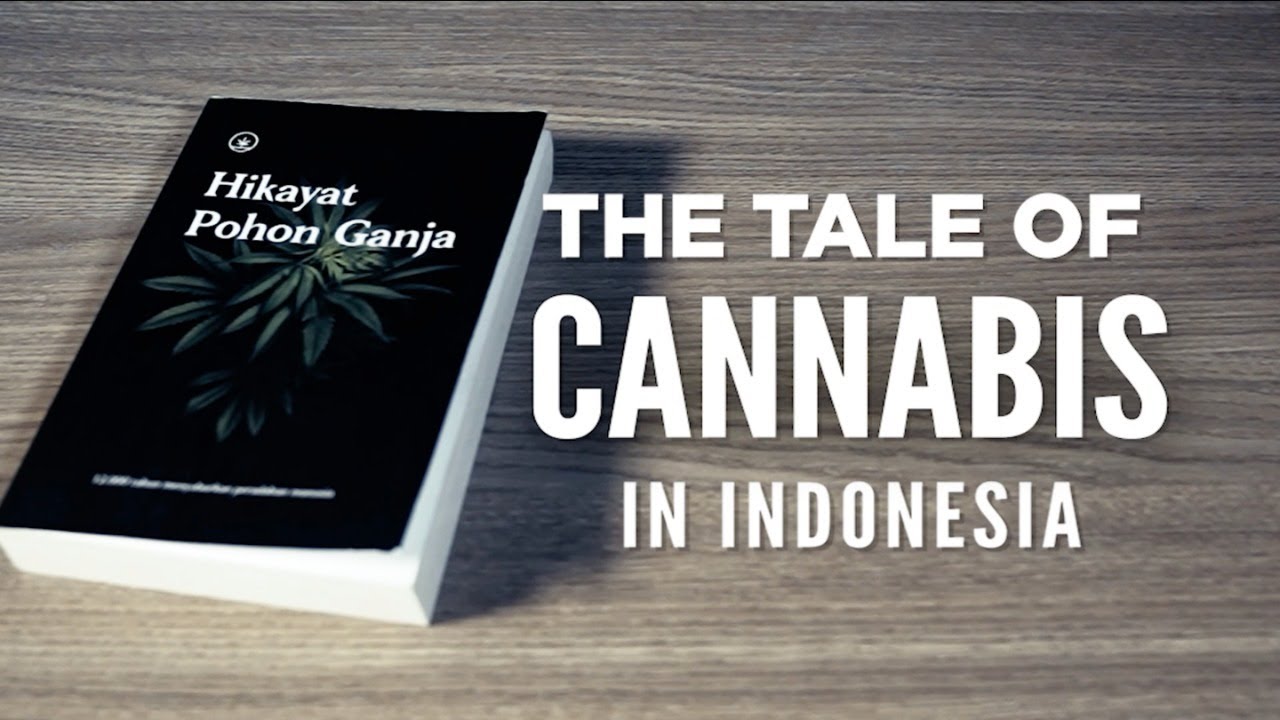 The Tale of Cannabis in Indonesia