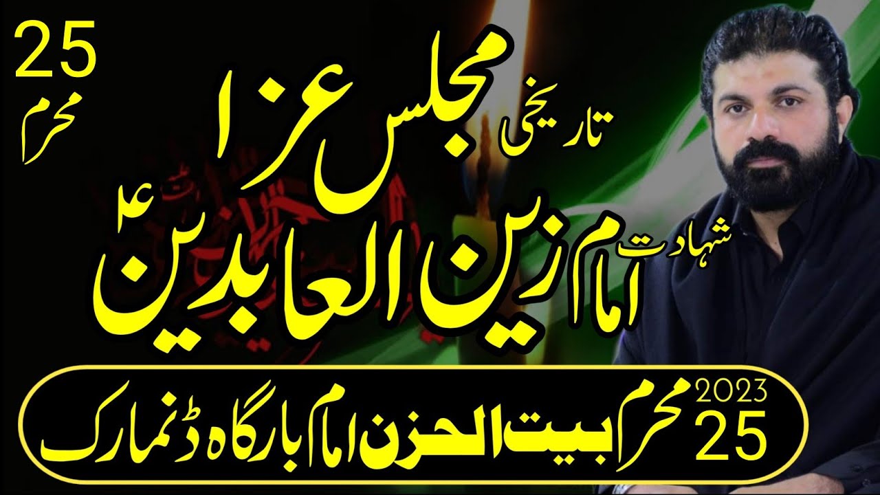 Allama Asif Raza Alvi 2023 | 25 Muharam Majlis e Aza | Imam Bargah Bait Ul Huzan Denmark