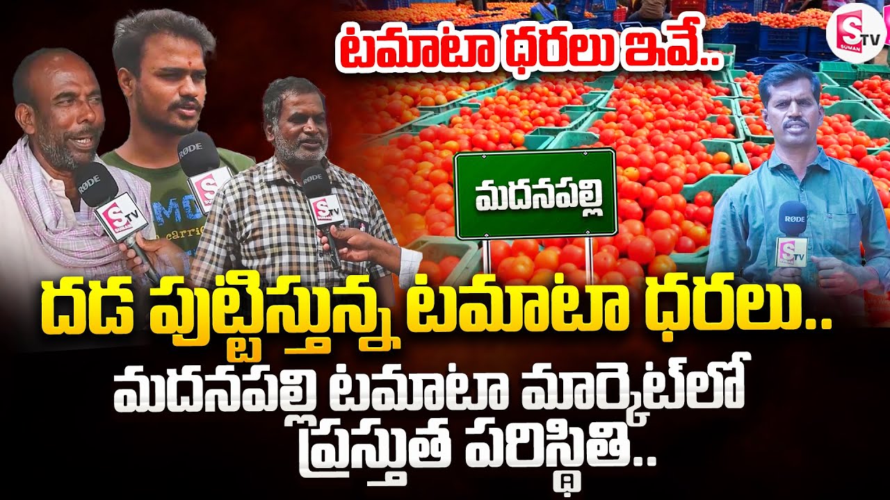 Tomato Prices Hike | Present Situation In Madanapalli Tomato Market | SumanTV