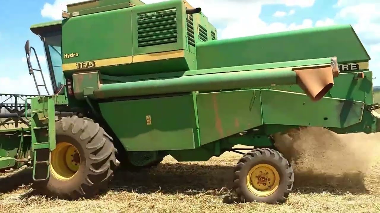 1175 colhendo soja #roça #agro #agricultura 