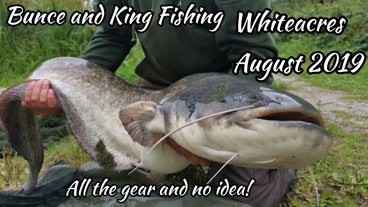 Carp and Catfish fishing at Whiteacres August 2019