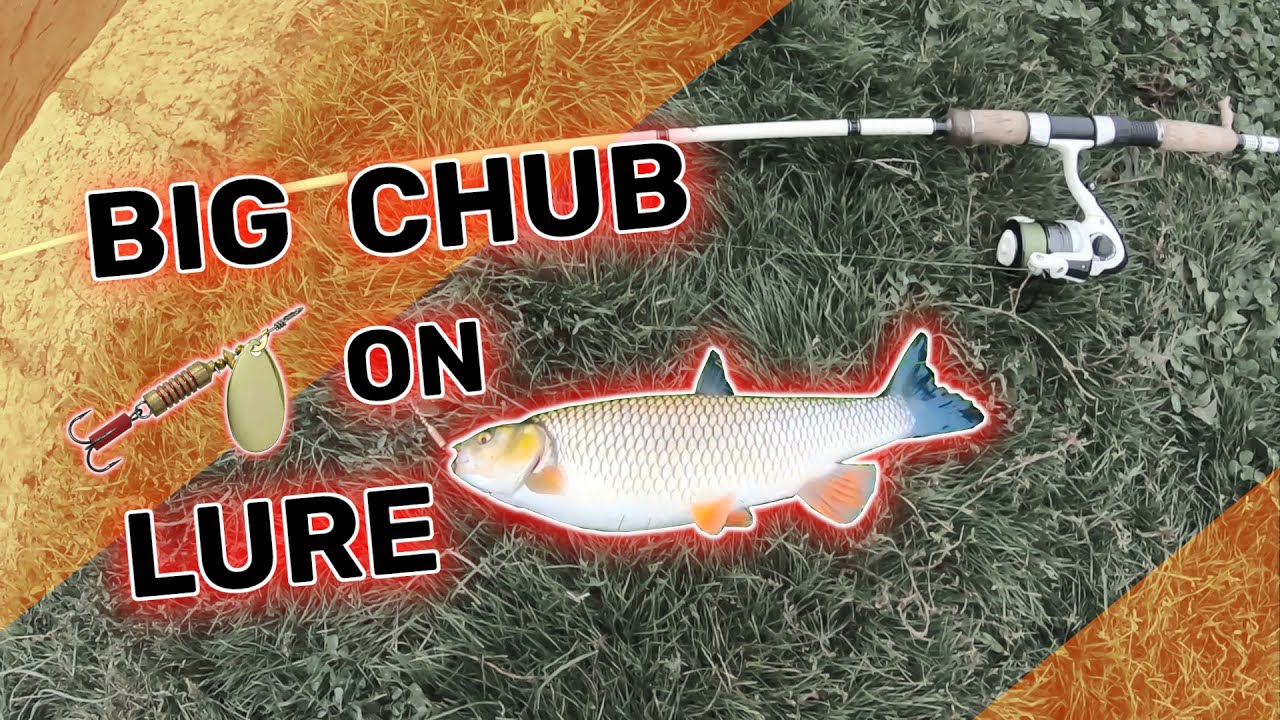 Pecanje klena u kasnu jesen Nišava 2020 / Catching Big Chub [2020]