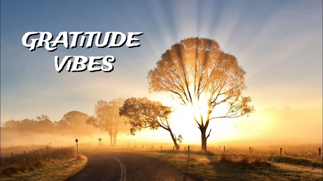 Gratitude Meditation for Inner Peace | Slow Down, Breath & Feel Thankful