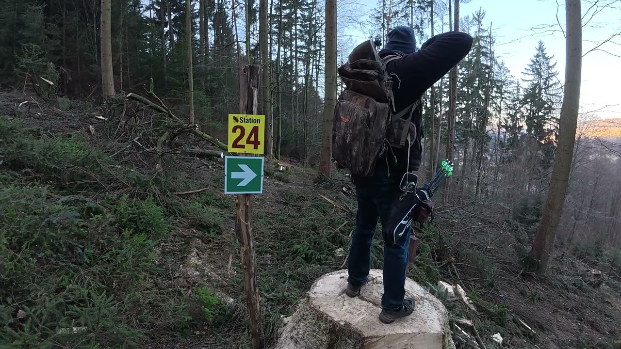 3d Bogenschießen Allemühl 26.12.25 (Target 24 Damhirsch)