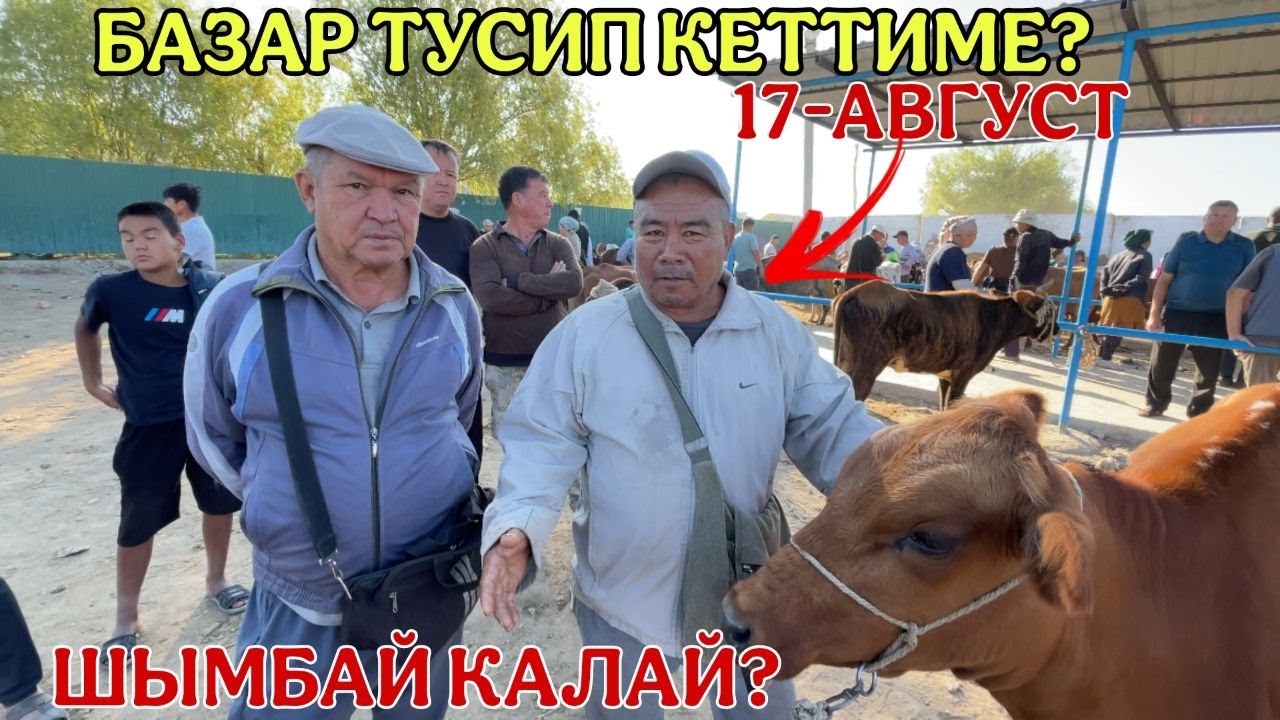 17-АВГУСТ/2025/ШЫМБАЙ МАЛ БАЗАРЫ/МАЛ БАЗАР 2025/ДЕМ БЕРМЕС МАЛ БАЗАР