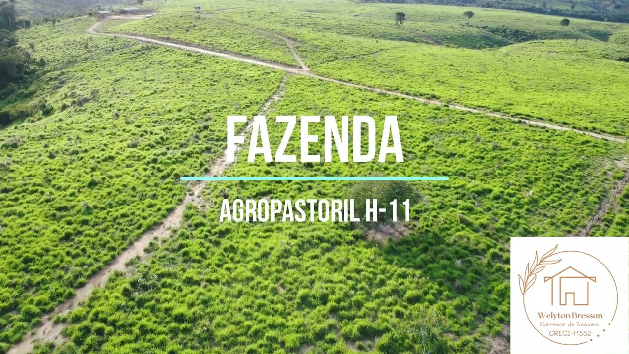FAZENDA A VENDA EM RURÓPOLIS-PA