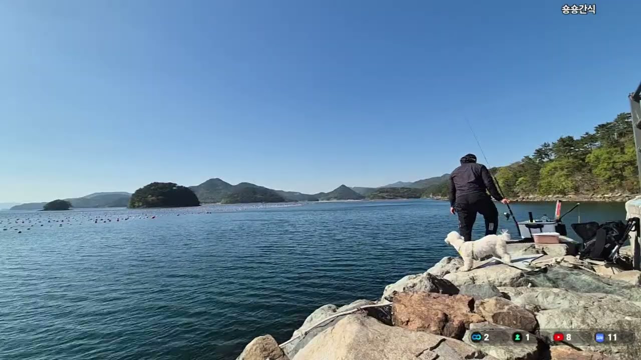4/16) 통영 도보포인트 감성돔 낚시! 강아지와 함께 힐링 낚시! #낚시 #라이브 #실시간