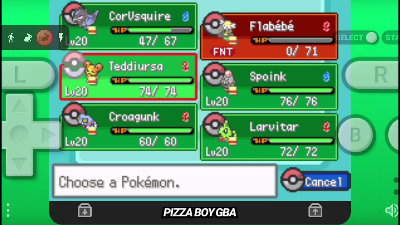 Pok&eacute;mon Supreme Fire Mewtwo's Revenge : Beating Brock (Flab&eacute;b&eacute; starter)
