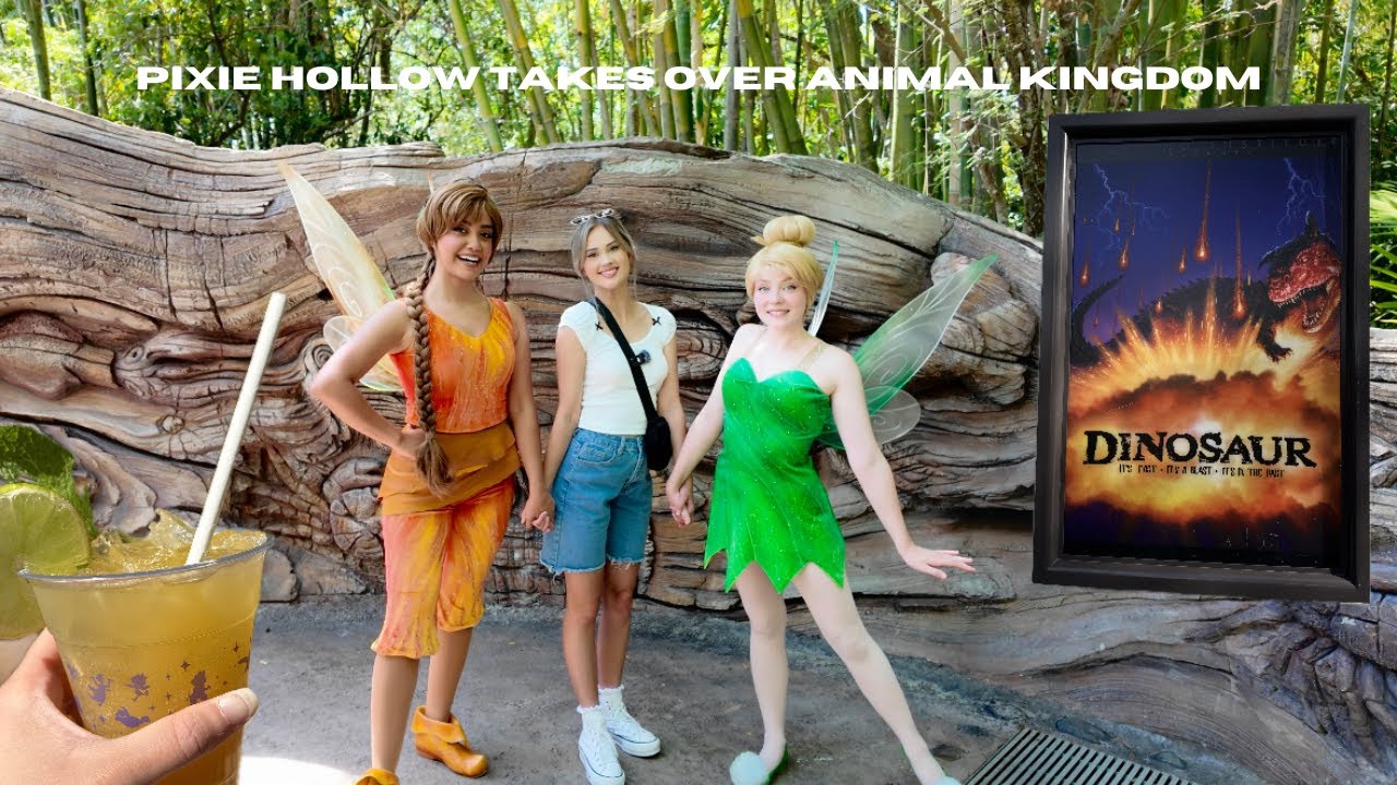 Meeting Fairies at Animal Kingdom | Lunch at Flame Tree Barbecue | Riding Dinosaur