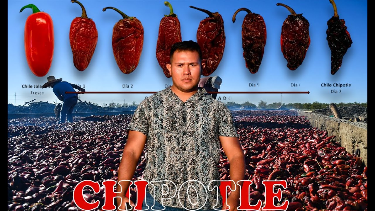 Así se Hace el Chile Chipotle: De Chihuahua para el Mundo.