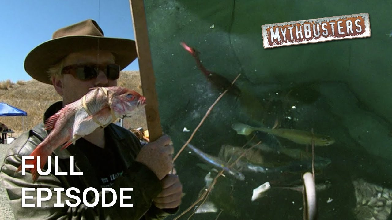 Shooting Fish in a Barrel put to the test! | MythBusters | S4 E22 | Full Episode