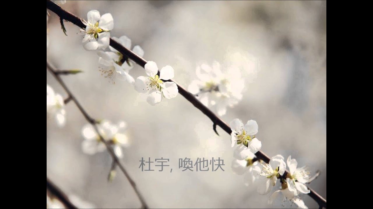 春思曲（王若诗）