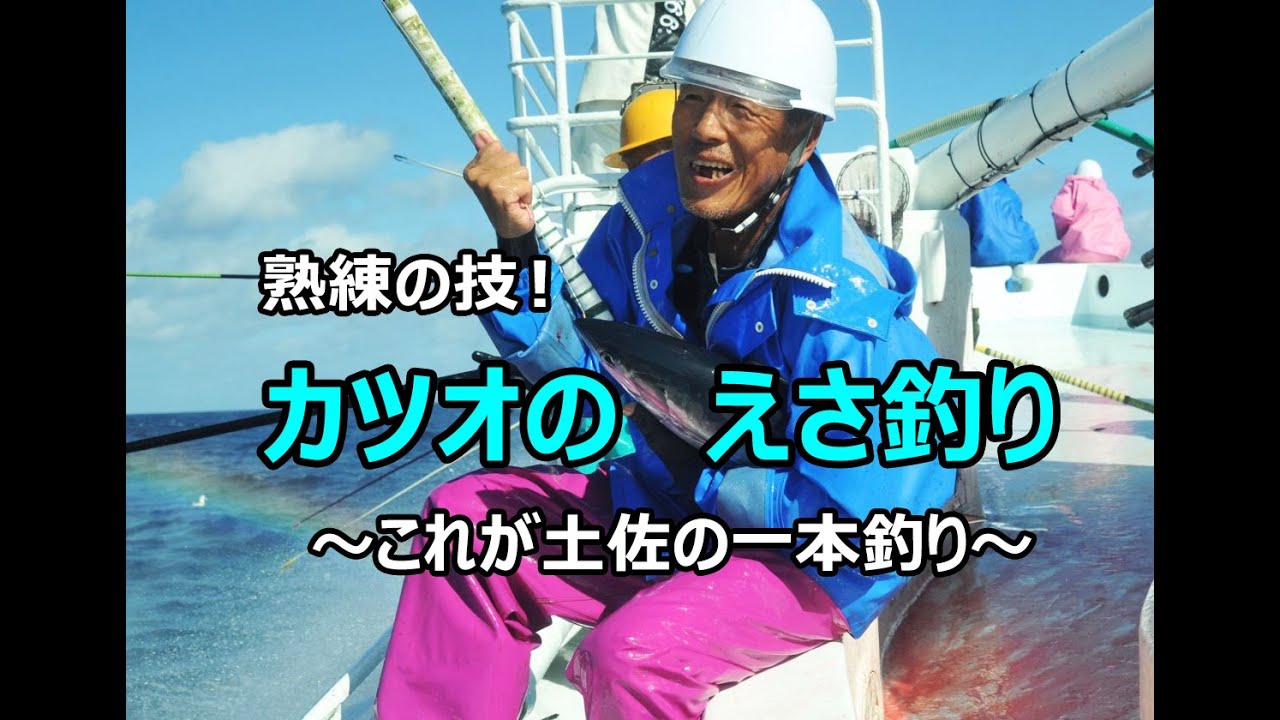 熟練の技！カツオのえさ釣り　～これが土佐の一本釣り～