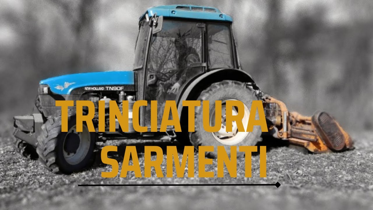 TRINCIAMO i rami in VIGNA (con NEW HOLLAND TNF 90 + BERTI)
