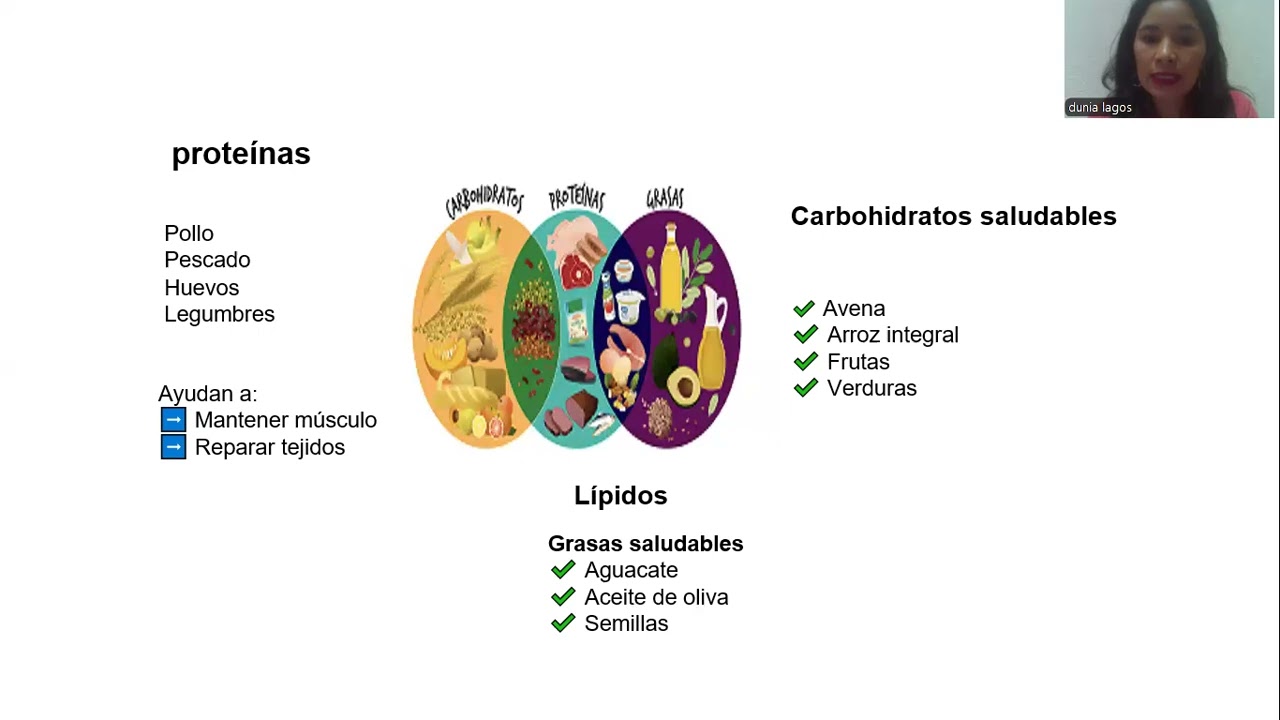 Taller 2 Impacto de la obesida en la salud y plan nutricional