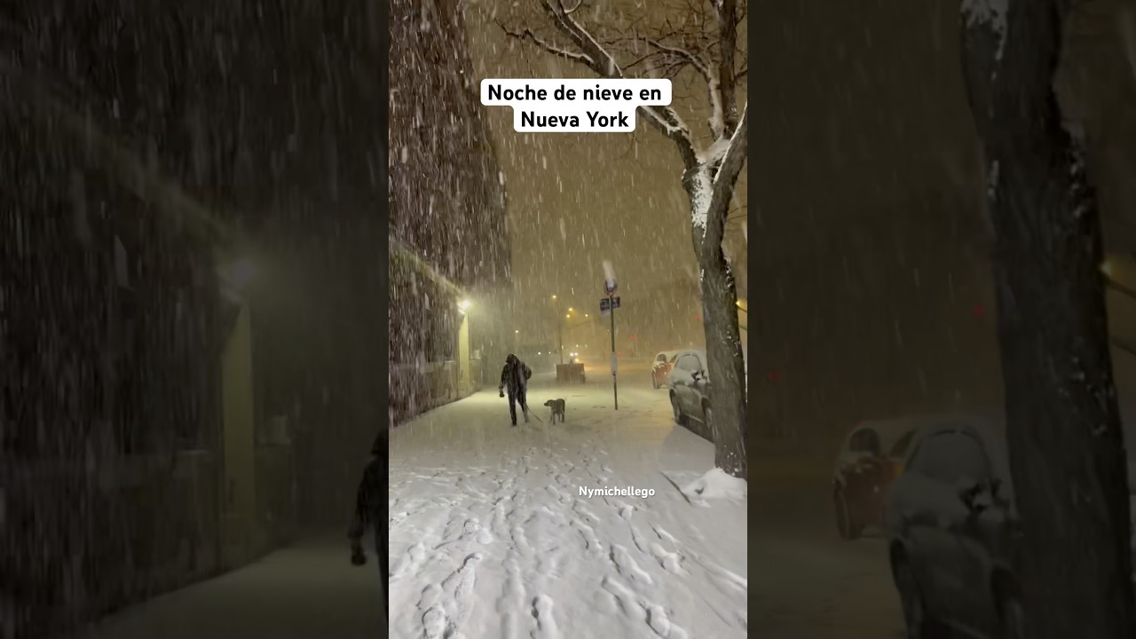 As&iacute; estuvo la nieve esta noche en Nueva York 🥰 #nyc #snow #nuevayork #travel #newyork