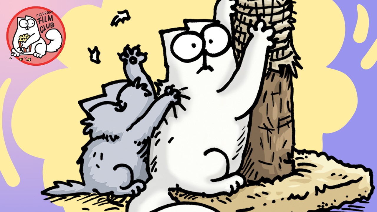 Get To Know The Kitten - Caturday in Colour!