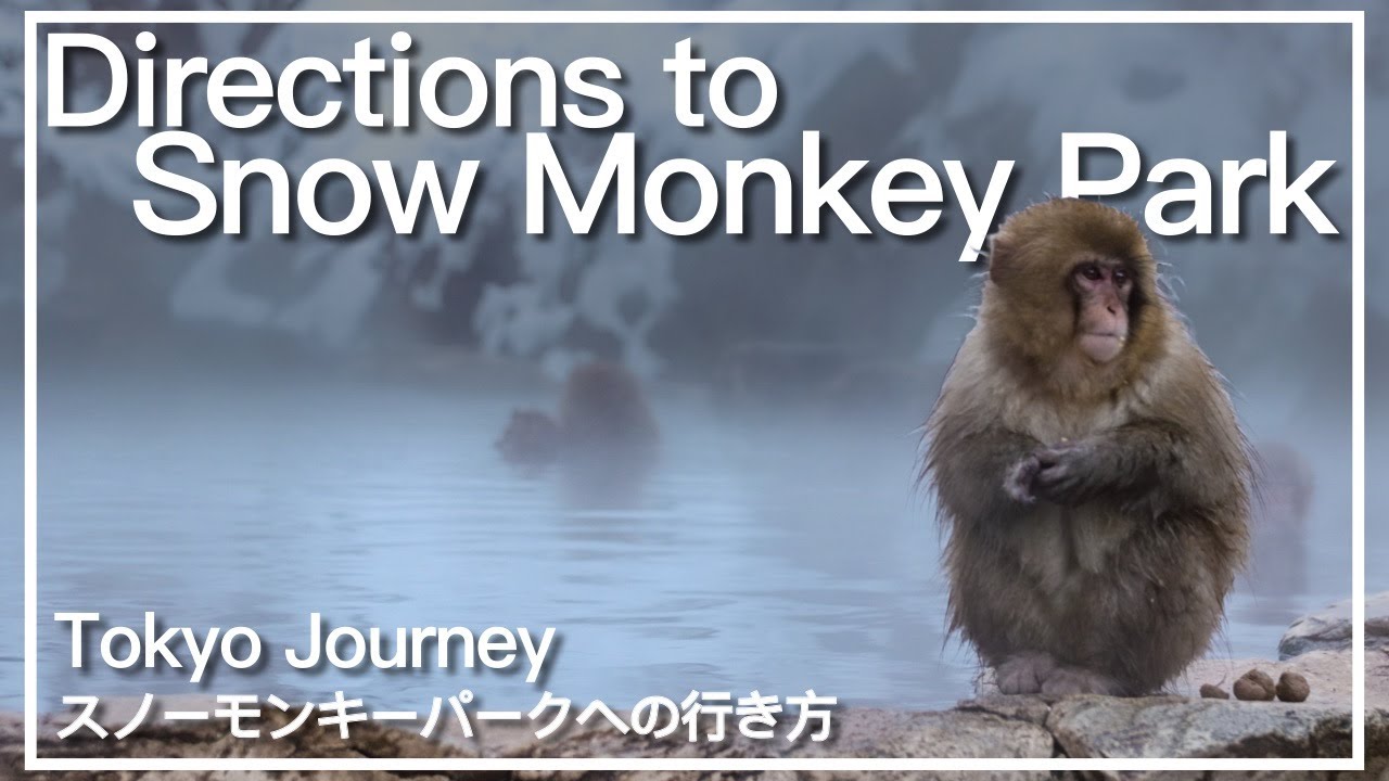How to get to Snow Monkey Park - from Nagano Station to Snow Monkey Park
