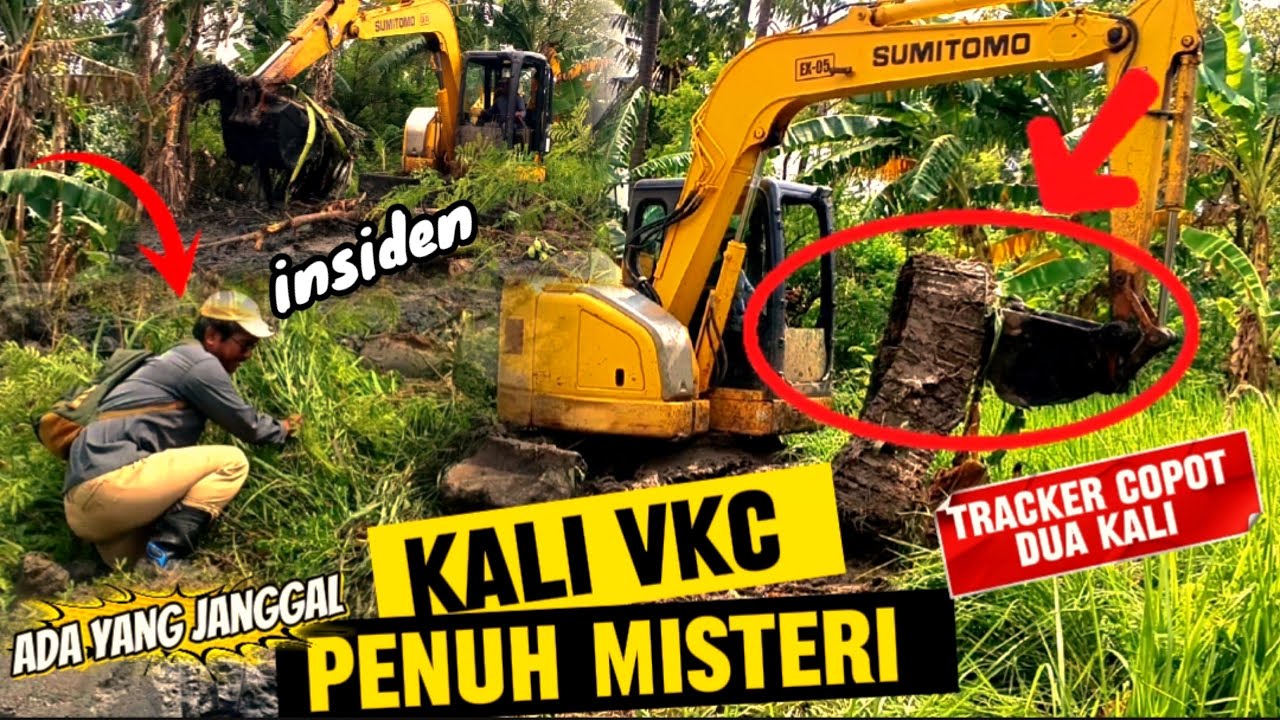 GEGEEER‼️ BANYAK KEANEHAN DI NORMALISASI KALI INI 