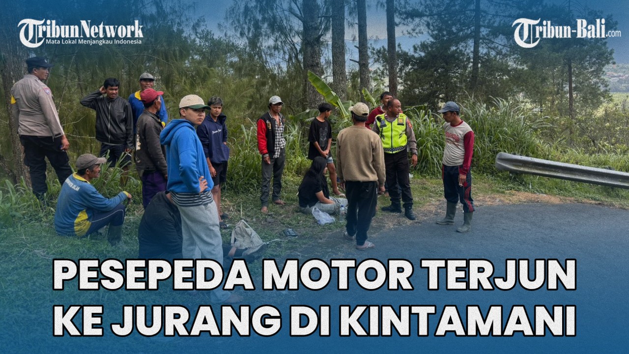 Pesepeda Motor Terjun ke Jurang Sedalam 50 Meter di Kintamani Bali, Ayah dan Anak Selamat
