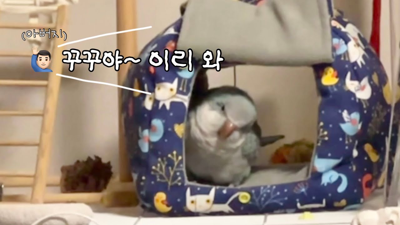 맨입으로는 절대 안 간다꾸!