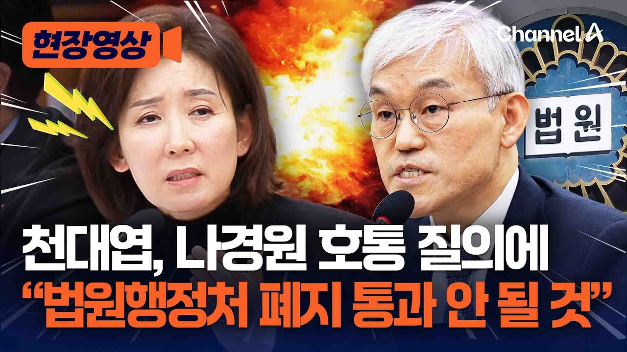 천대엽, 나경원 질의에 