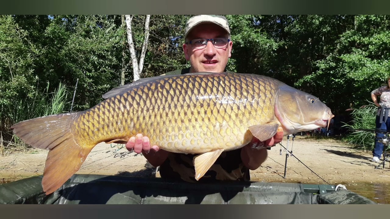 peche a la carpe etang de la Landes st mars la briere