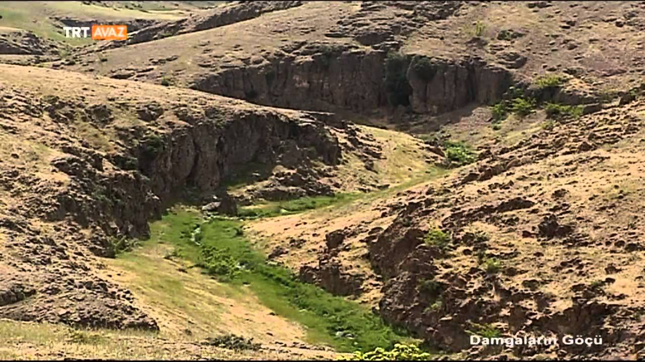 Damgaların Göçü - Kaya Resimleri - TRT Avaz