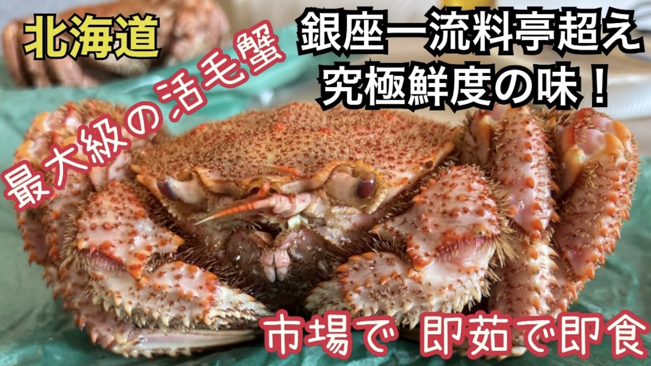 【極限グルメ】蟹の王様 毛ガニ『最高の鮮度と味』を求め 北海道の市場に突撃！