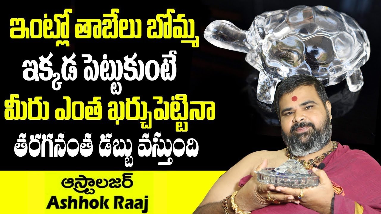 ఇంట్లో తాబేలు బొమ్మను ఈ దిక్కున పెట్టుకుంటే మీరు ఎంత ఖర్చుపెట్టిన తరగనంత డబ్బు వస్తుంది #tabeluuses