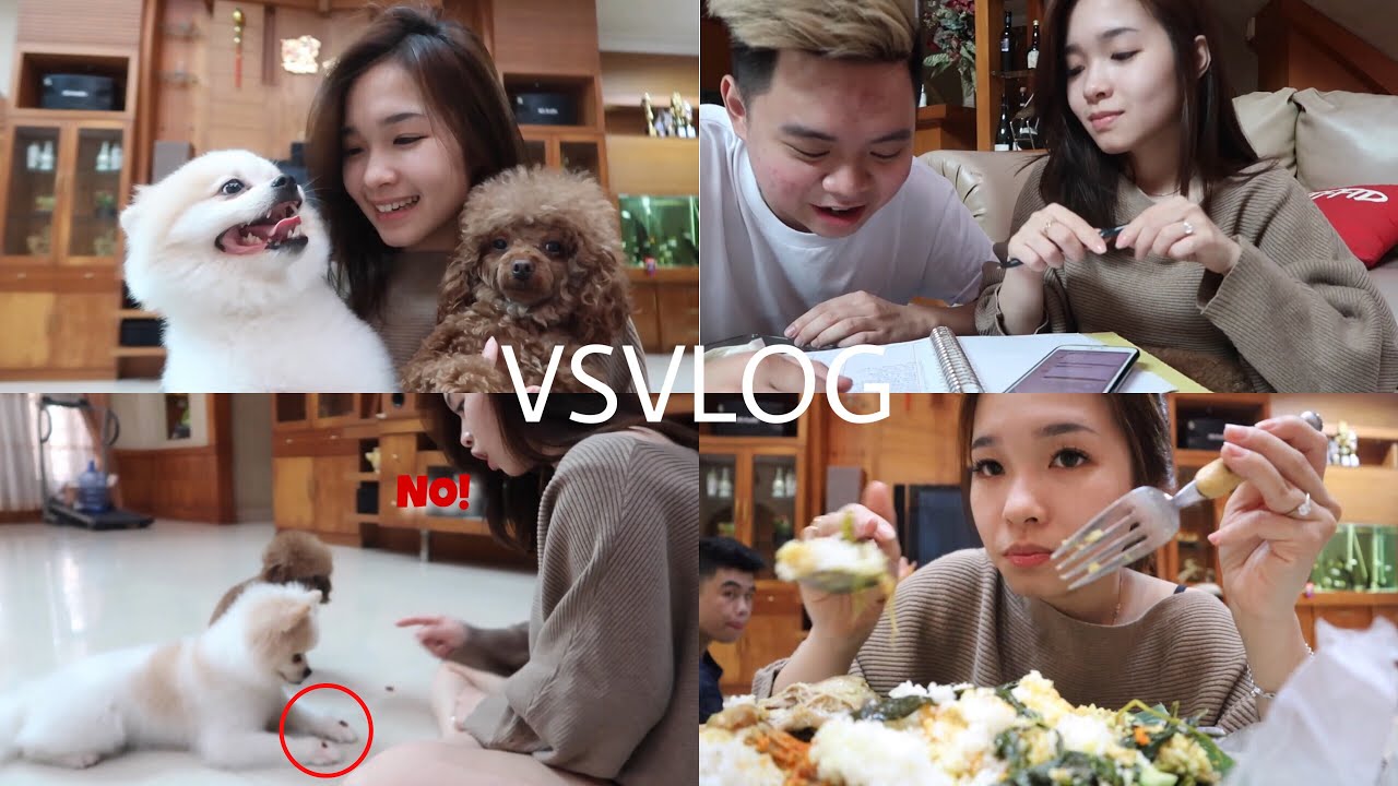 VLOG: KESEHARIAN AKU | MAIN SAMA OLAF&CARAMEL | MAKAN NASI PADANG