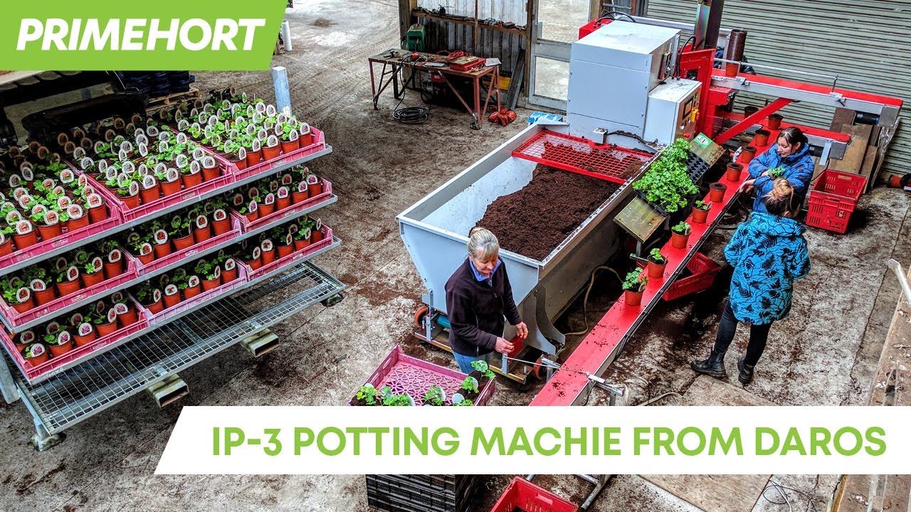 Primehort I3-P Potting Machine from DaRos