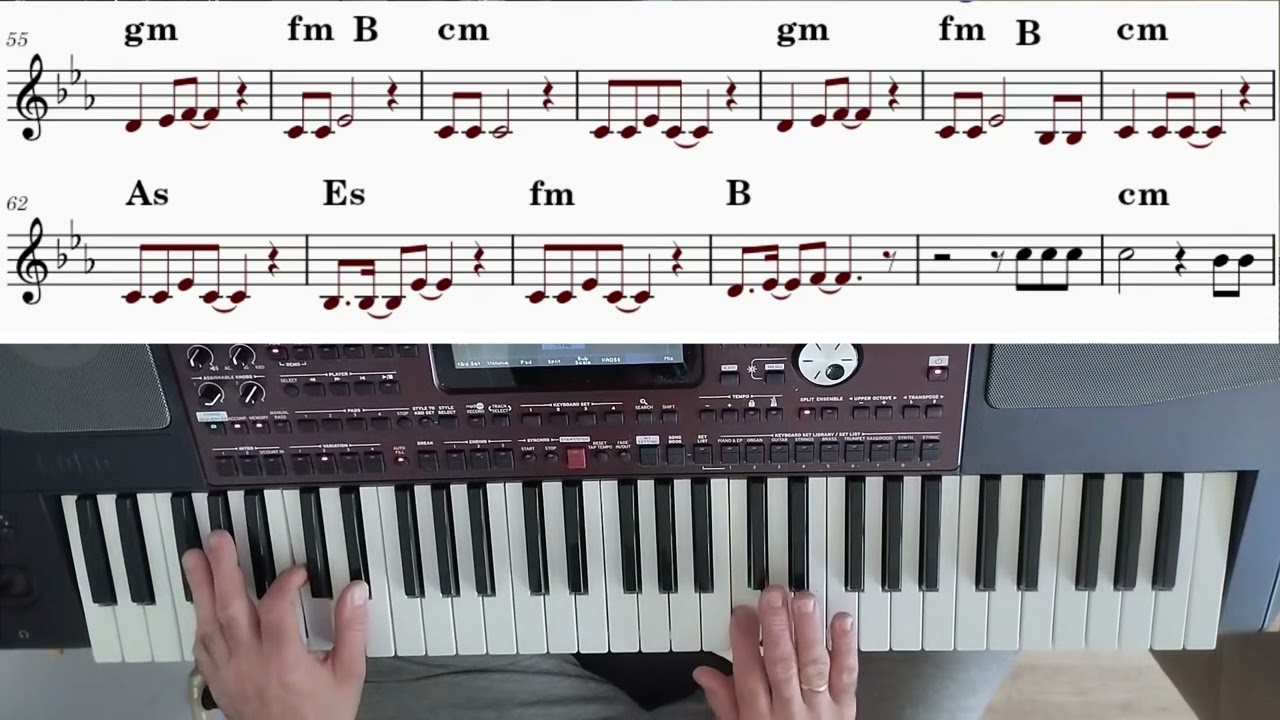 C.C. CATCH - Cause you are young (cover korg pa 700, nuty, akordy)
