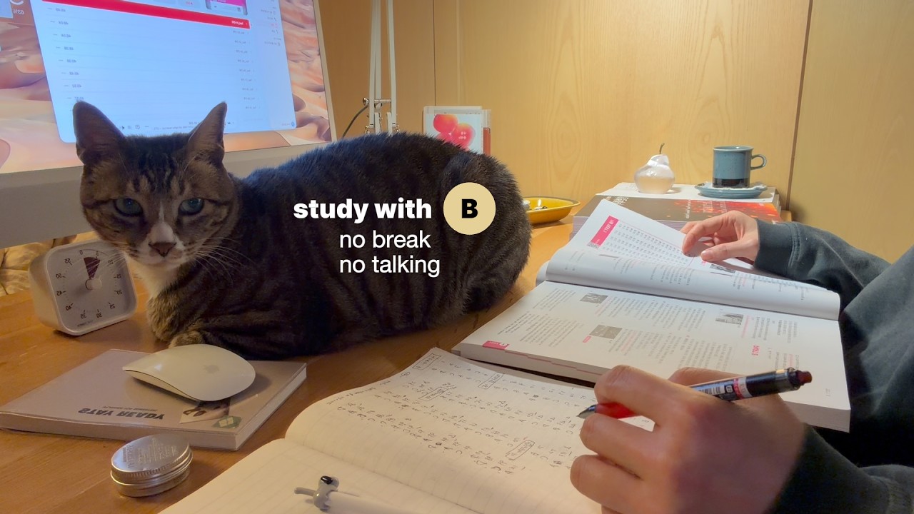 no break 1hㅣreal-time study with meㅣno talking, deep focusㅣFeb 20