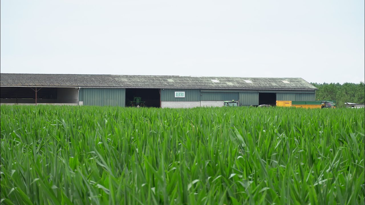 Découvrez nos pratiques culturales au sein d'une exploitation agricole diversifiée - LANDES