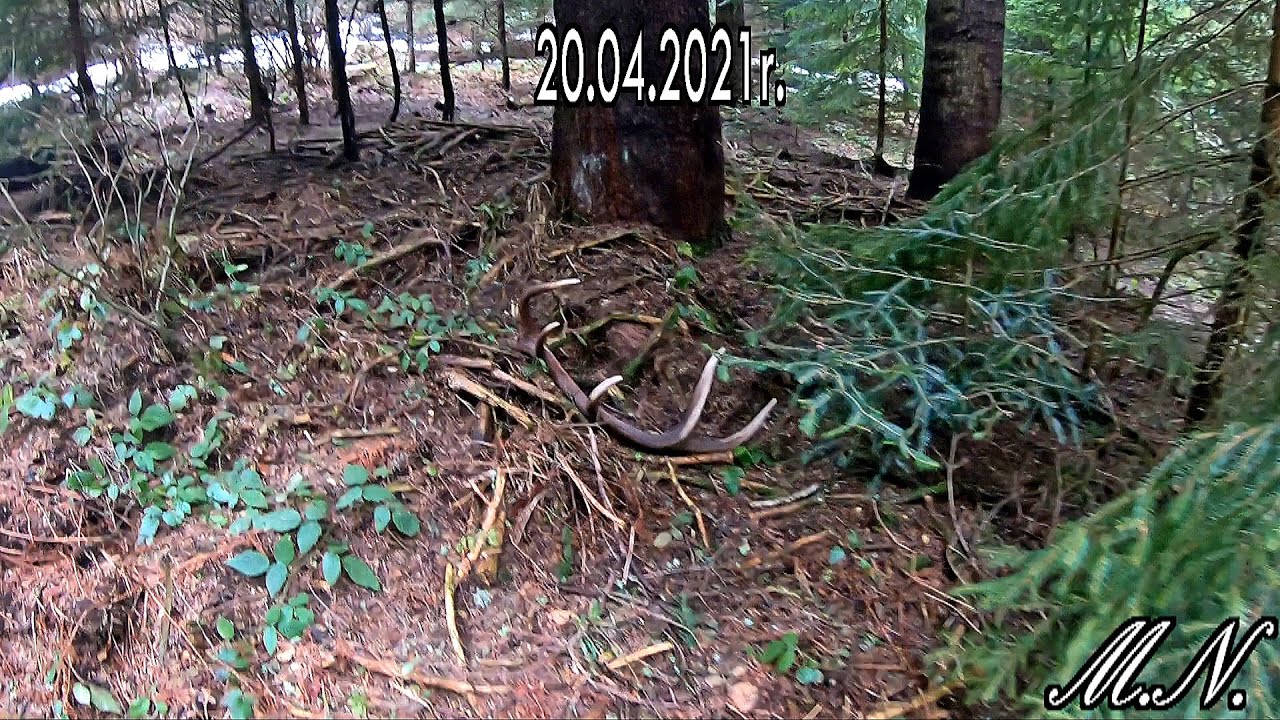 Lubię takie piękne widoki.