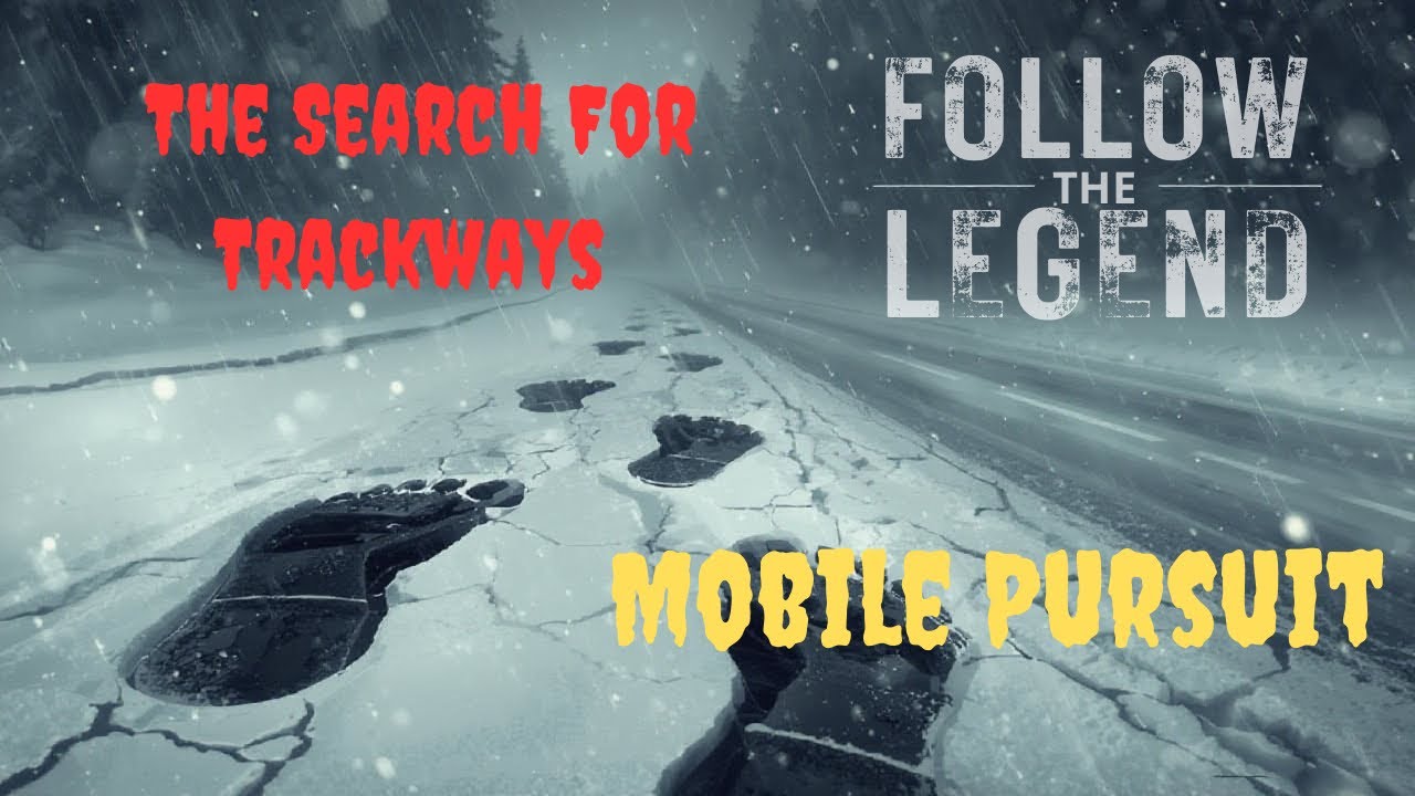Trackway Search-Winter Storm 2026