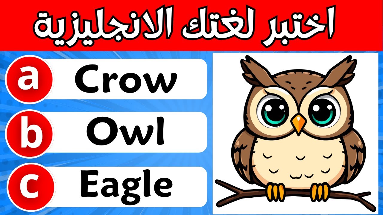 اختبر لغتك الإنجليزية | اختبر نفسك في 100 كلمة متنوعة | تحدي لغة انجليزية