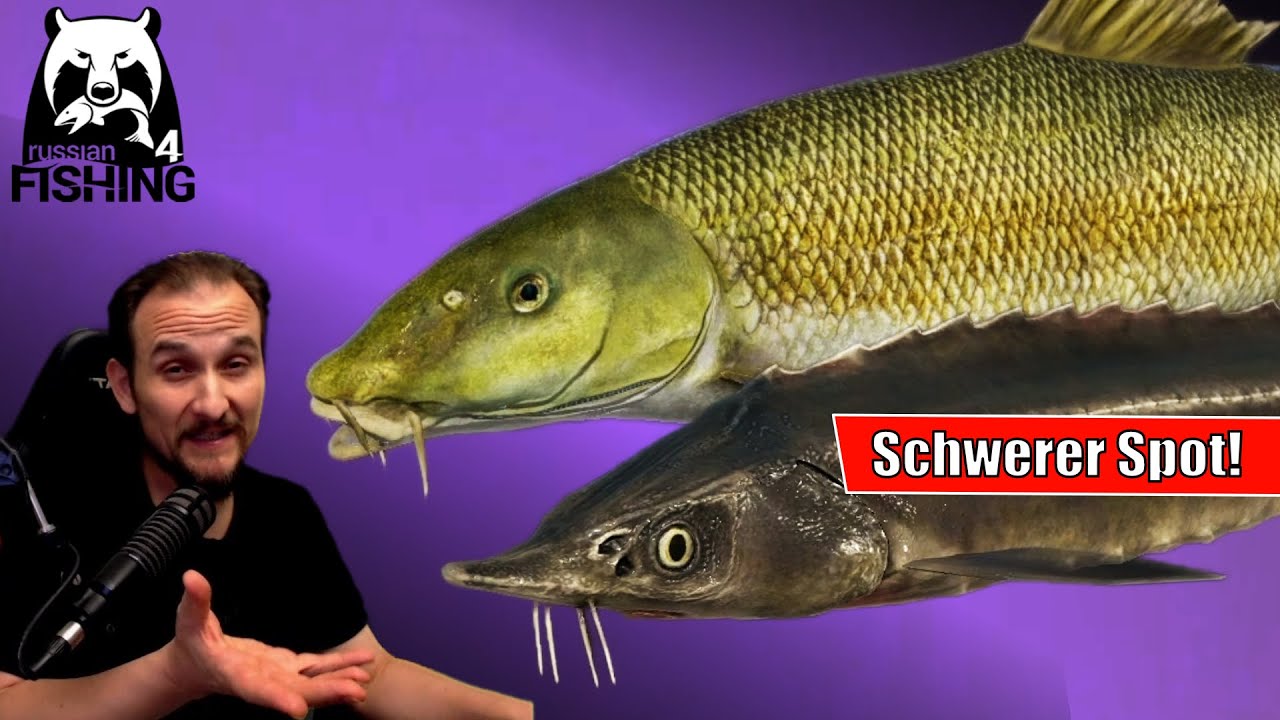 Russian Fishing 4 - Achtuba - Sterlet und Aralbarbe