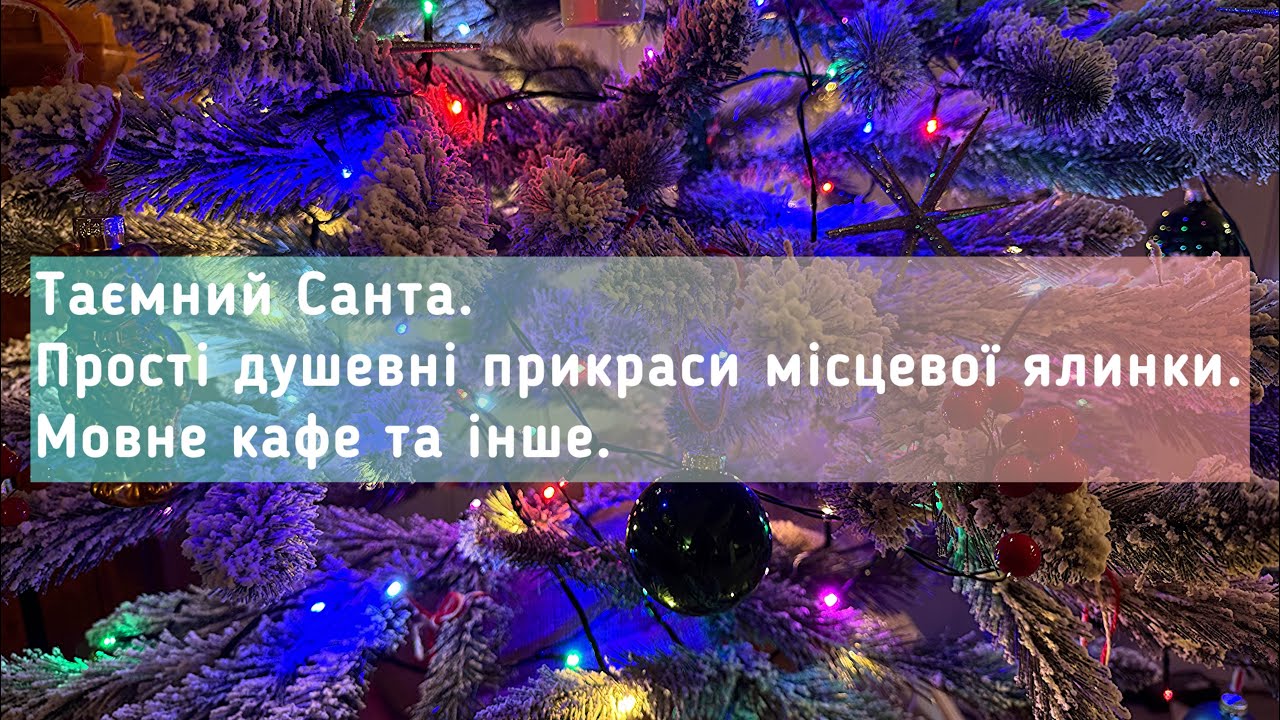 Маленьке норвезьке місто перед святами. Таємний Санта на роботі. Мовне кафе. Квітучий бузок 🥰