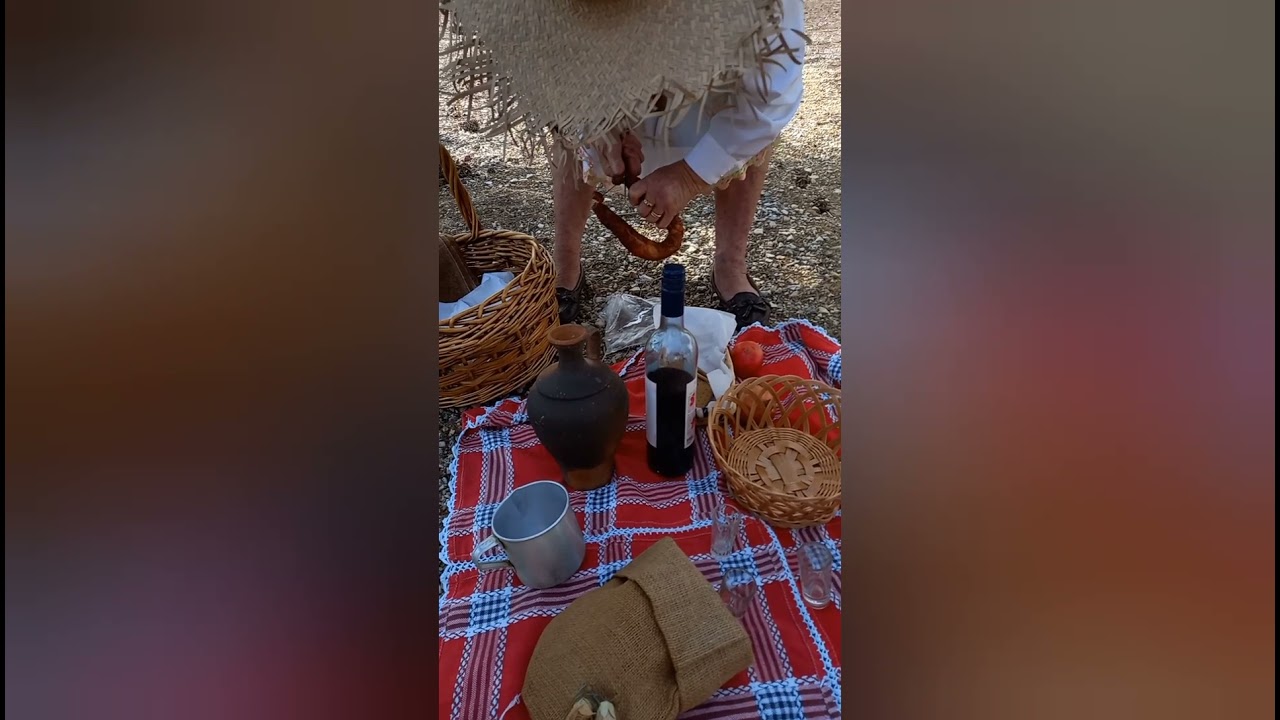 Ceifeiras da Mo&ccedil;arria