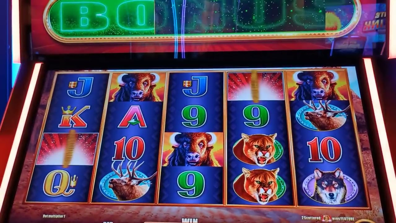 Buffalo Stampede,coins coins coins