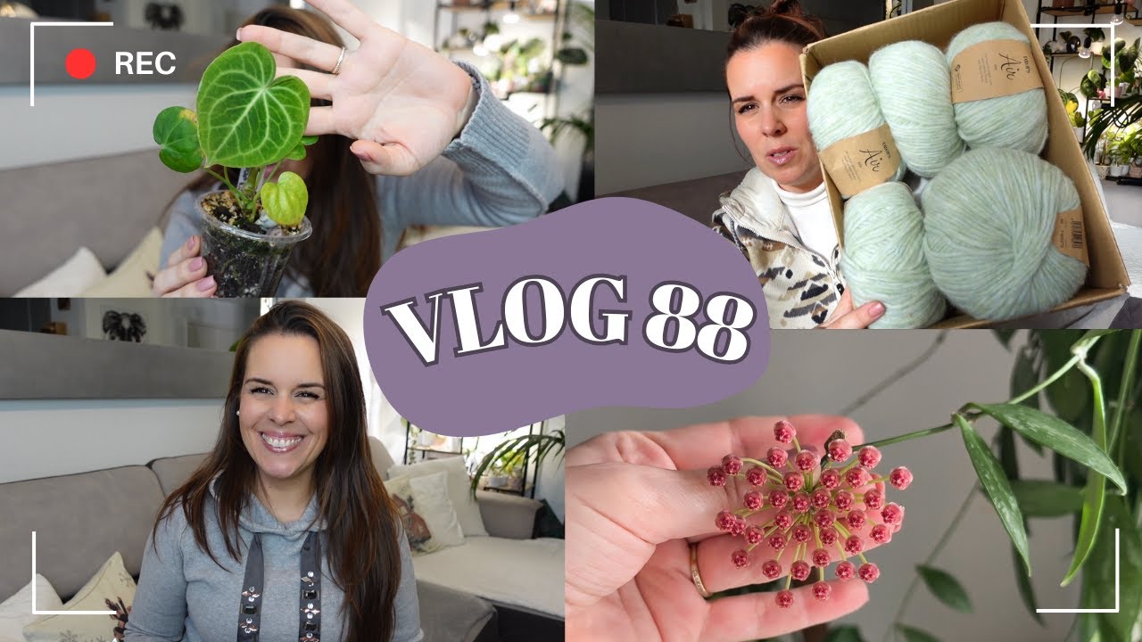 Plantagère tour, nouveau projet tricot et favoris | VLOG 88 |