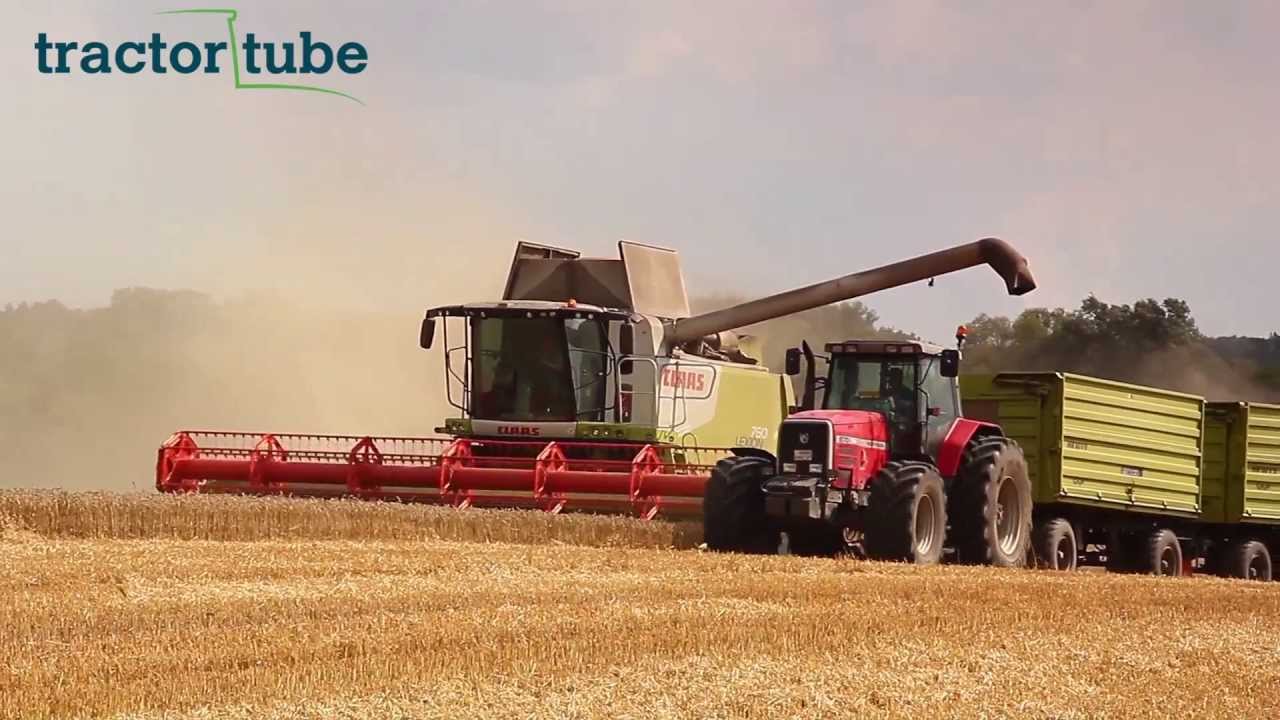 4 Claas Lexion 760,580,580 und 560 Mähdrescher dreschen Weizen